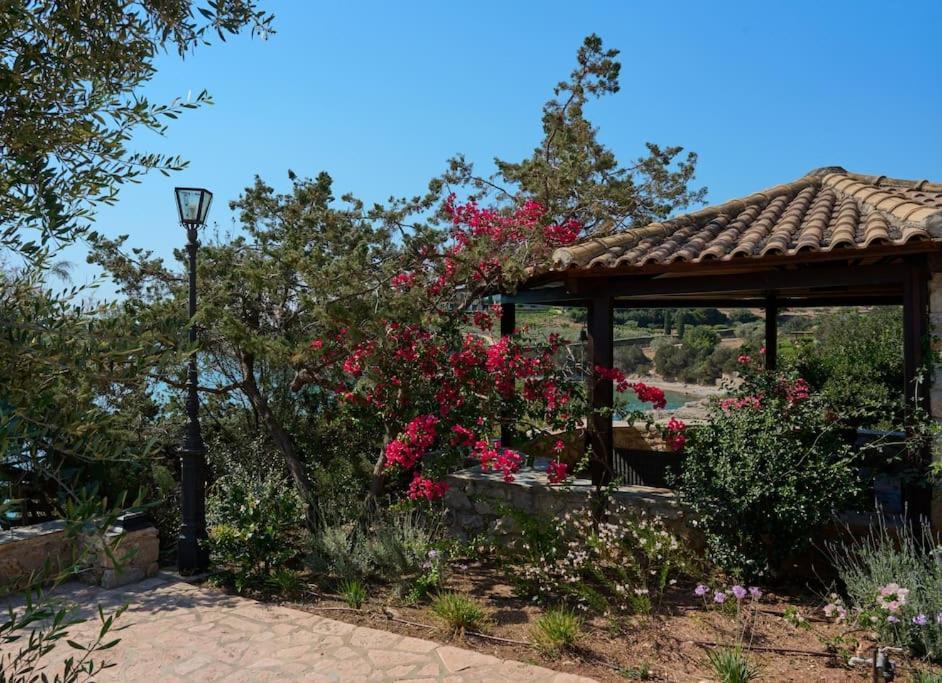 Villa Artemis In Small Kounoupi ポルト・ヘリ エクステリア 写真